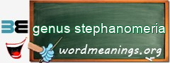 WordMeaning blackboard for genus stephanomeria